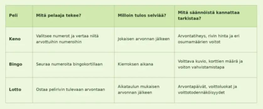Bingo Lotto Mita Pelaaja Tekee